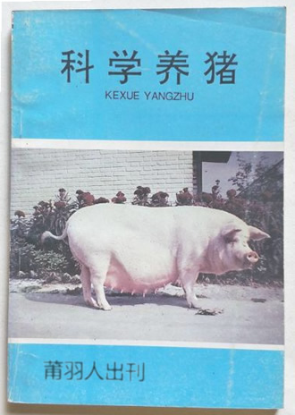 �Բ��������