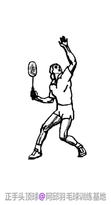 ��ë����Ķ���