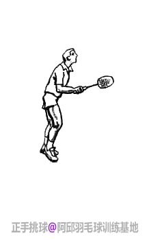 ��ë��ƽ��ƽ������