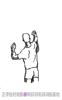 ��ë�����ƽ��