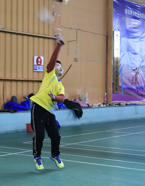 ��Сѧ������ë���ѡ������