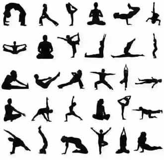 �����٤���ֲ�