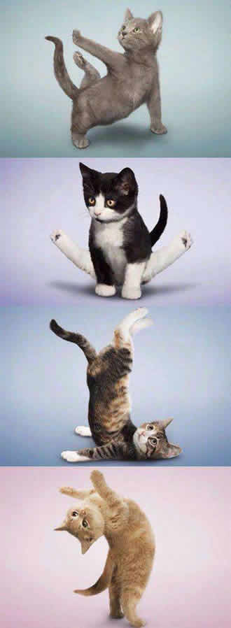 �����٤��ѵ��ЦͼƬ