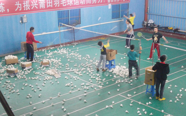 ������ë��Э����ѵ6