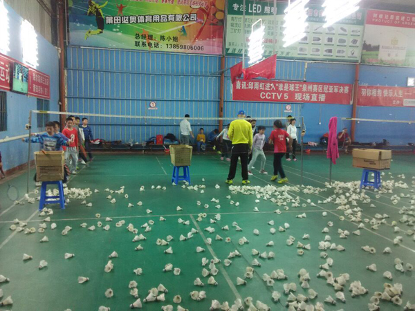 2015�괺����Сѧ����ë����ѵ�����ͼƬ291