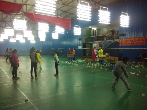 2015�괺����Сѧ����ë����ѵ�����ͼƬ911