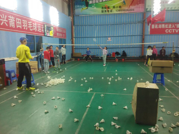 2015�괺����Сѧ����ë����ѵ�����ͼƬ13