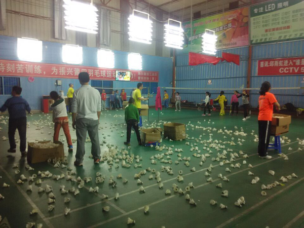 2015�괺����Сѧ����ë����ѵ�����15