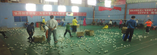 2015�괺����Сѧ����ë����ѵ�����ͼƬ12