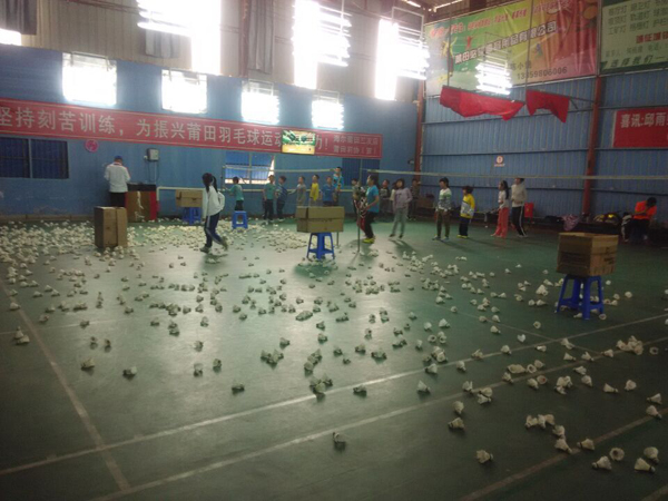 2015�괺����Сѧ����ë����ѵ�����ͼƬ294