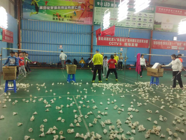 2015�괺����Сѧ����ë����ѵ�����ͼƬ297