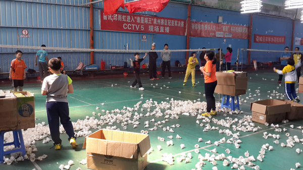 2015������Сѧ����ë����ѵ������3284