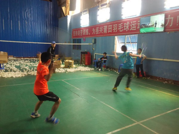 2015������Сѧ����ë����ѵ������285