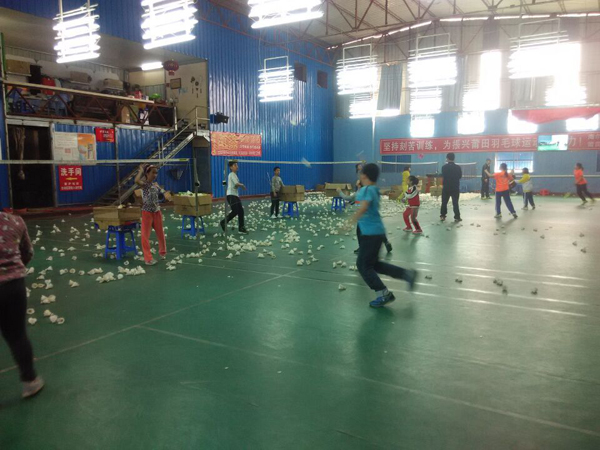 2015������Сѧ����ë����ѵ������287