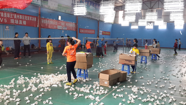 2015������Сѧ����ë����ѵ������3291