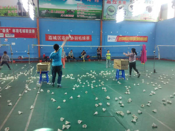 2015������Сѧ����ë����ѵ������913