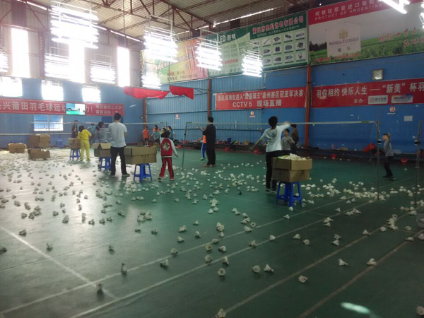 2015������Сѧ����ë����ѵ������914