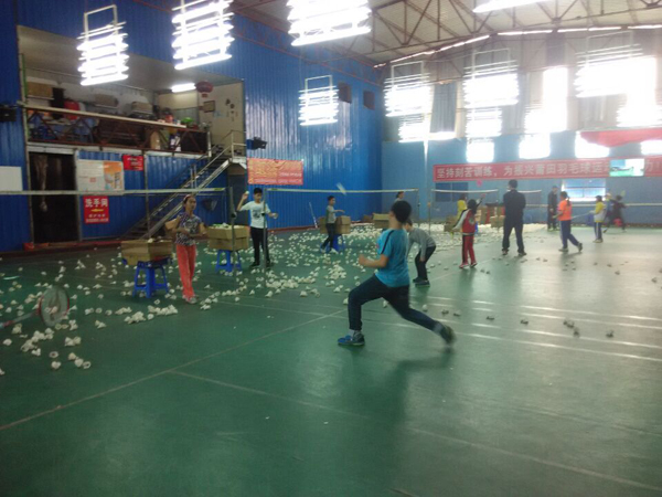 2015������Сѧ����ë����ѵ������916