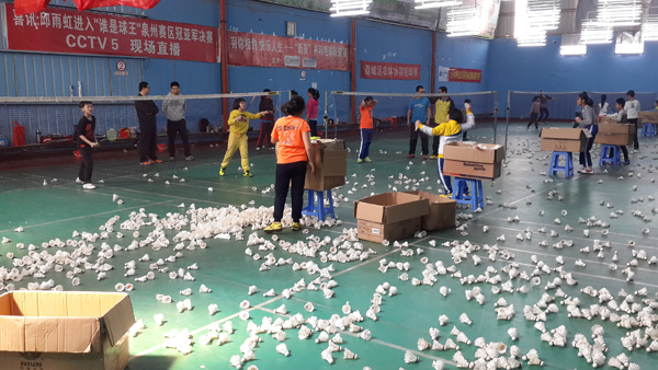 2015������Сѧ����ë����ѵ������922