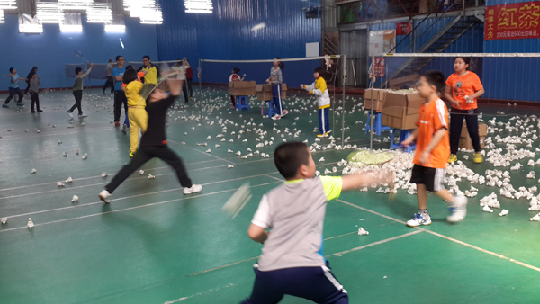 2015������Сѧ����ë����ѵ������3294