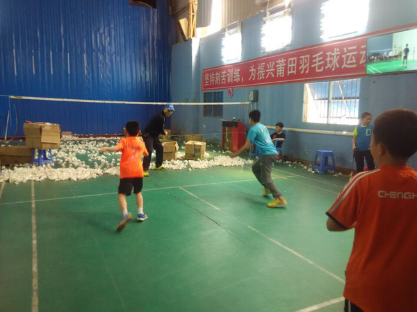 2015������Сѧ����ë����ѵ������989