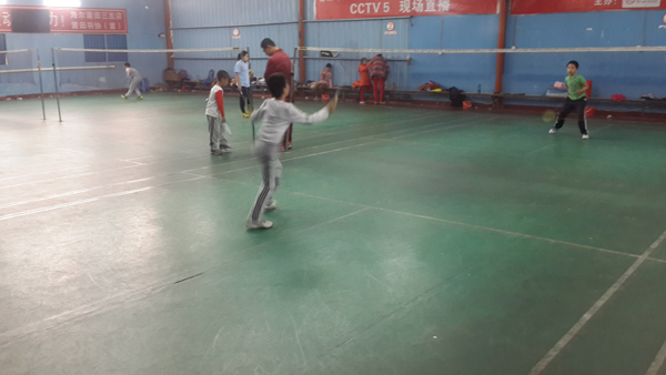 ��ѵ����2015������������ë����������ë��ھ�539