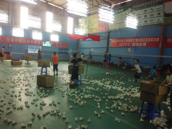 ������Сѧ����ѵ����114