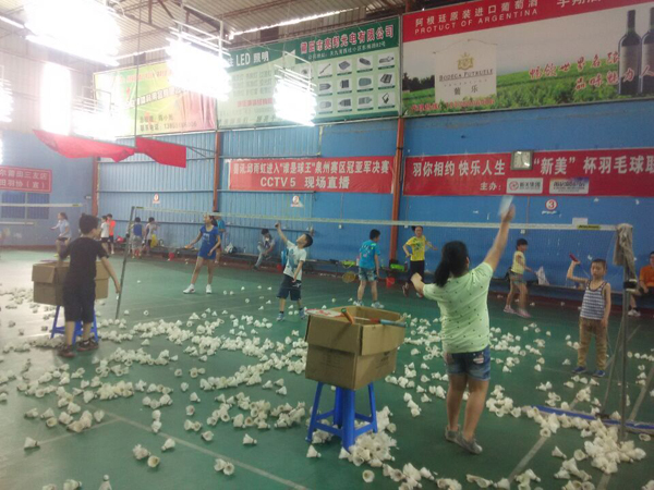 ������Сѧ����ѵ����115