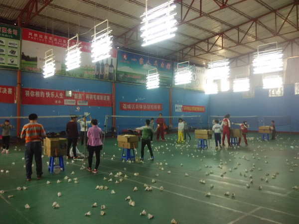 ������Сѧ����ѵ����2123