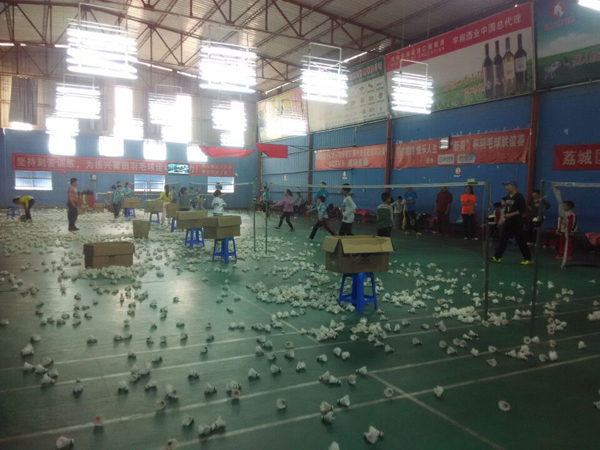 2015������Сѧ������ë����ѵ���ؿ����ϵ�ͼƬ133