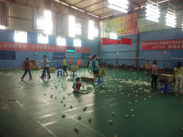 ���������˶���ë����ѵ������ѵ��ͼƬ102