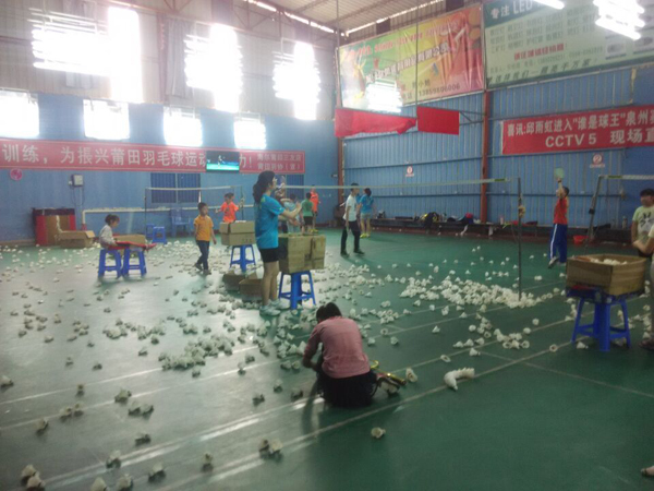 ������Э��ë����ѵ���Ŀ��õ�ͼƬ95