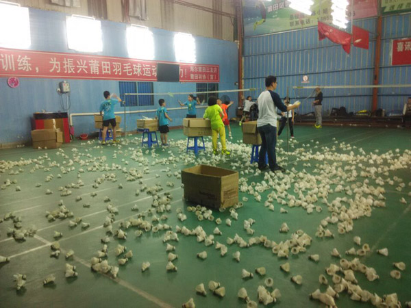 ������Сѧ������ë��280