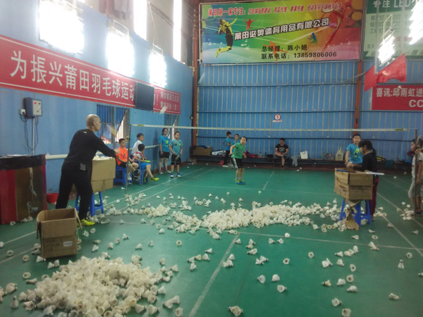 ѵ��������ë����ͼƬ˲��2584