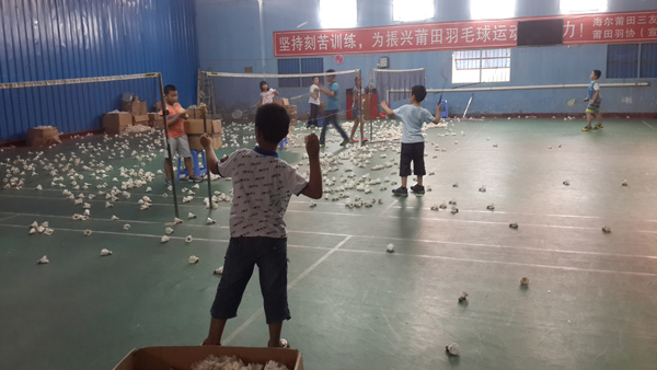 ��������������Ŀ��ë������4201