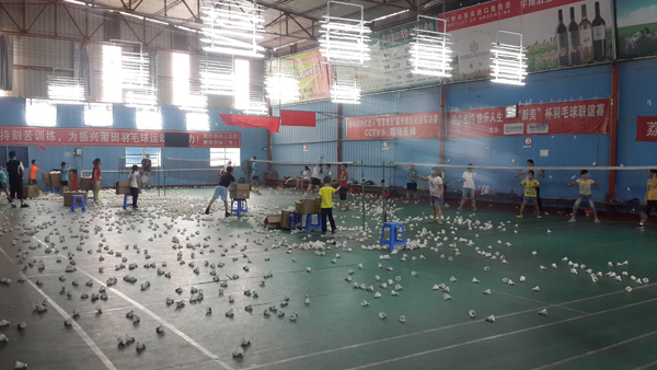 ���ﻧ����չ�˶�440