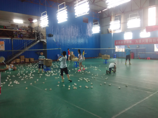 ��ë����ѵ����Ϊ����ѧУ�˶�����ë������ṩ��ë����֧��40