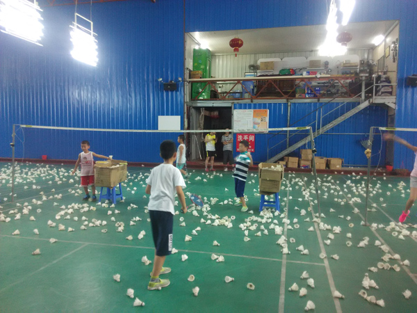 ������ѵ����Ϊ��Сѧ�����������ṩ���õĳ���44