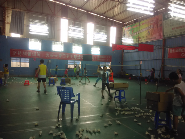 ������Сѧ����ѵ����ë�����49