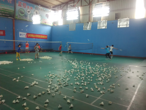 ������Сѧ����ѵ����ë�����50