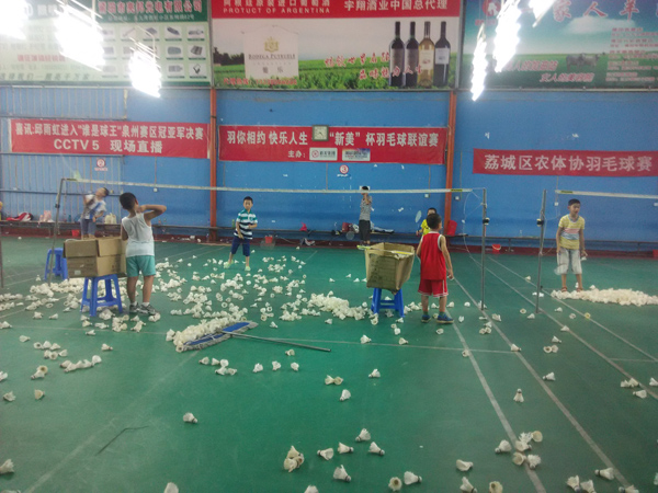 ������Сѧ����ѵ����ë�����51