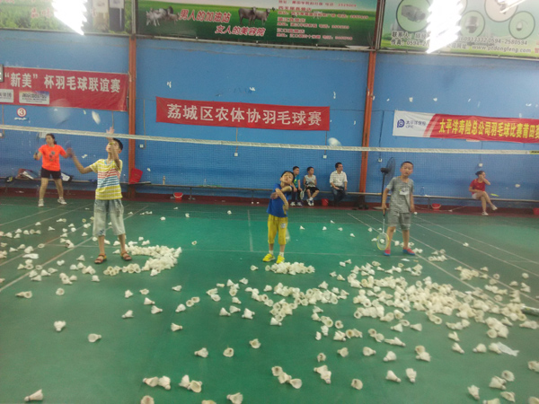 ������Сѧ����ѵ����ë�����52