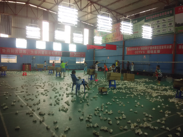 ������Сѧ����ѵ����ë�����53