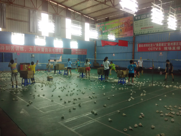 ����Ϊ����ʡ2015��ʡ��Сѧ��ë����������Ͳ����˶�Ա56