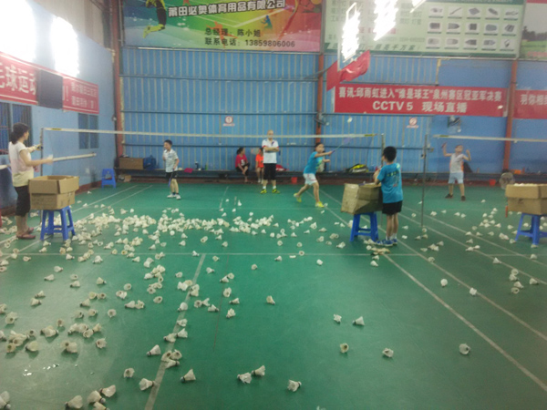 ����Сѧ�����ѧϰ�ƻ�32