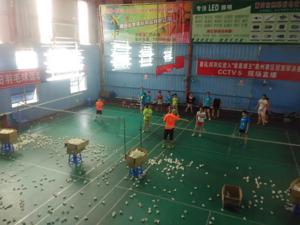 ����Сѧ�����ѧϰ�ƻ�34