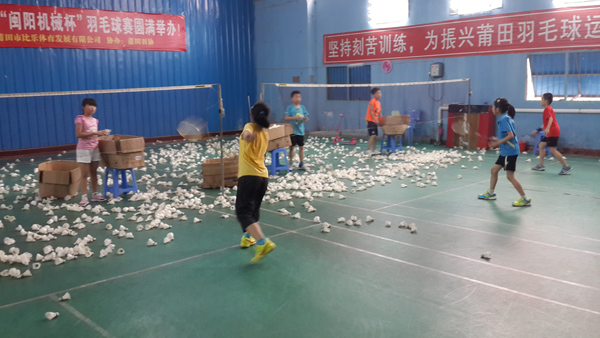 ����Сѧ�����ѧϰ�ƻ���ѵ��ë��15