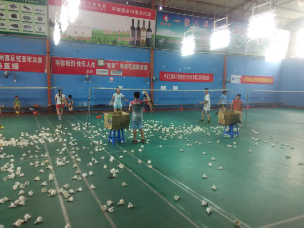 �������ѧϰ�ƻ���Сѧ����ë����ѵͼƬ535