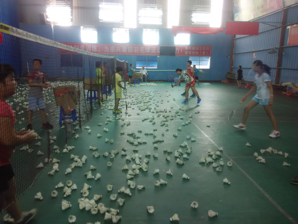 ���������Сѧ����ë�����ͼƬ60