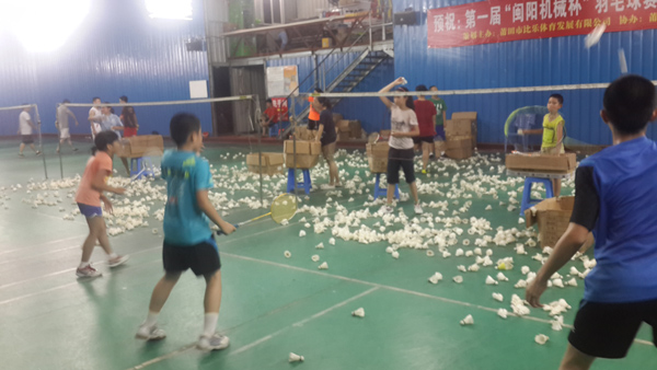 ���������ѵ��31